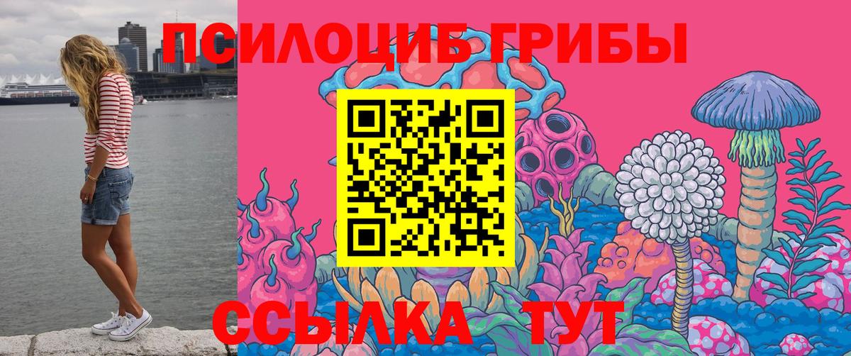 Псилоцибиновые грибы GOLDEN TEACHER Псков